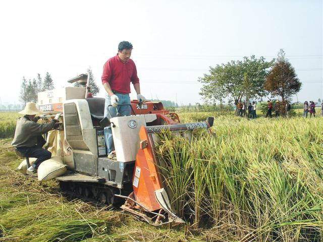 图2 冯泽宝在田间劳动.jpg