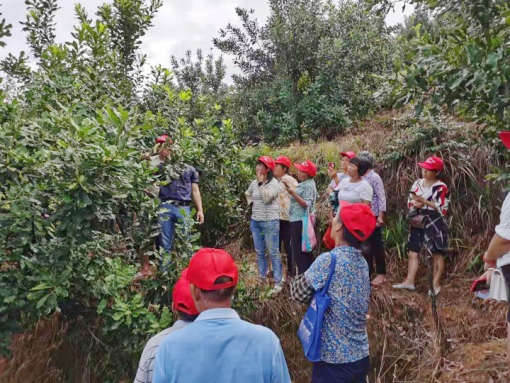图2-2，园区观摩和果农们拍照学习_副本.jpg