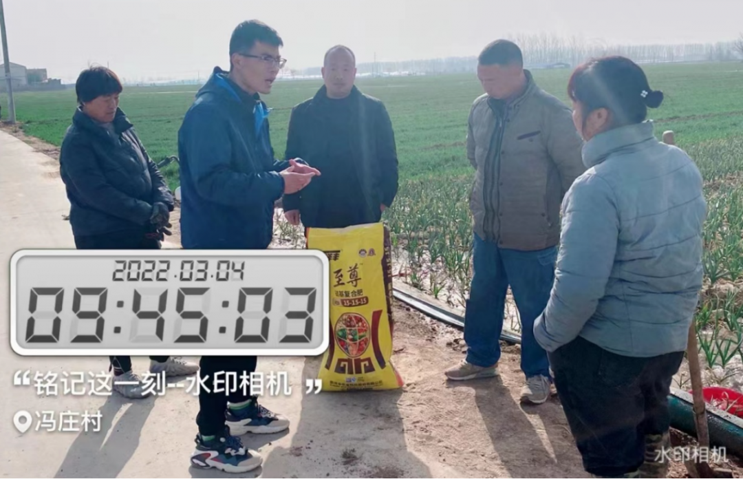 3月4日，跟踪布置洋丰至尊示范田块.jpg